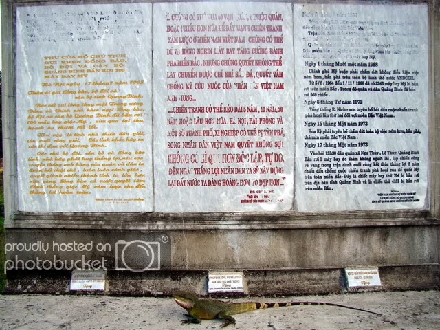 DSC03206.jpg