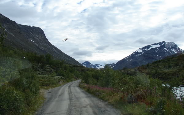 DSC09896.jpg