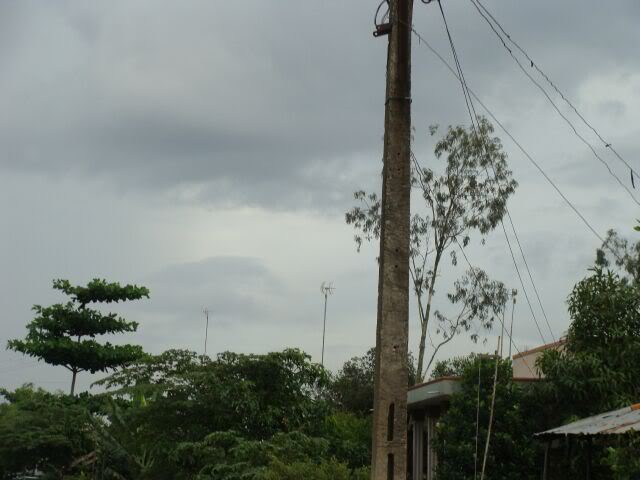 DSC04142.jpg