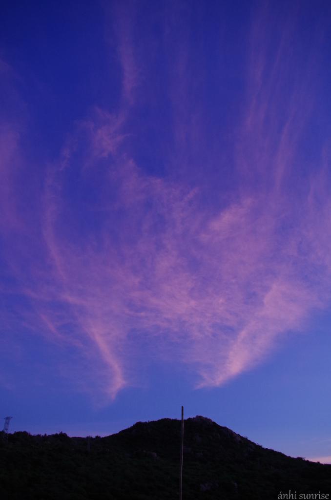 IMGP9590.jpg