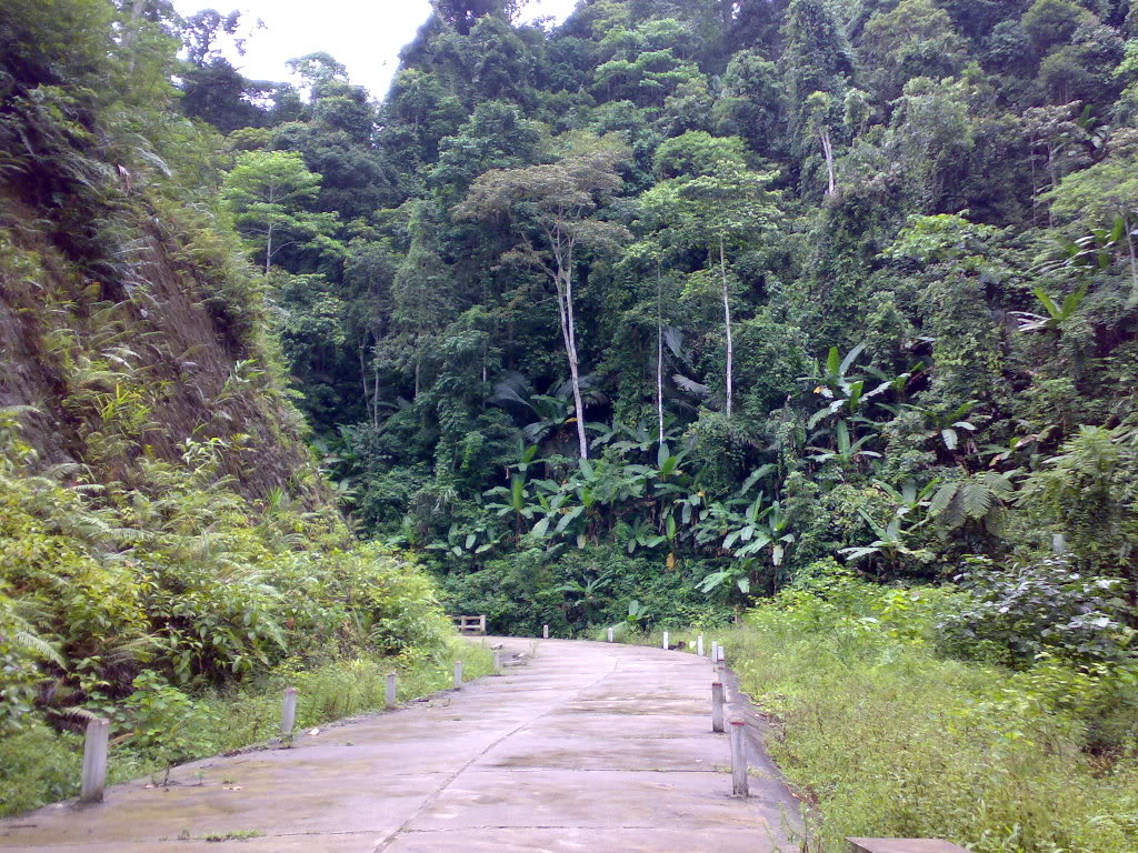 DSC0123.jpg