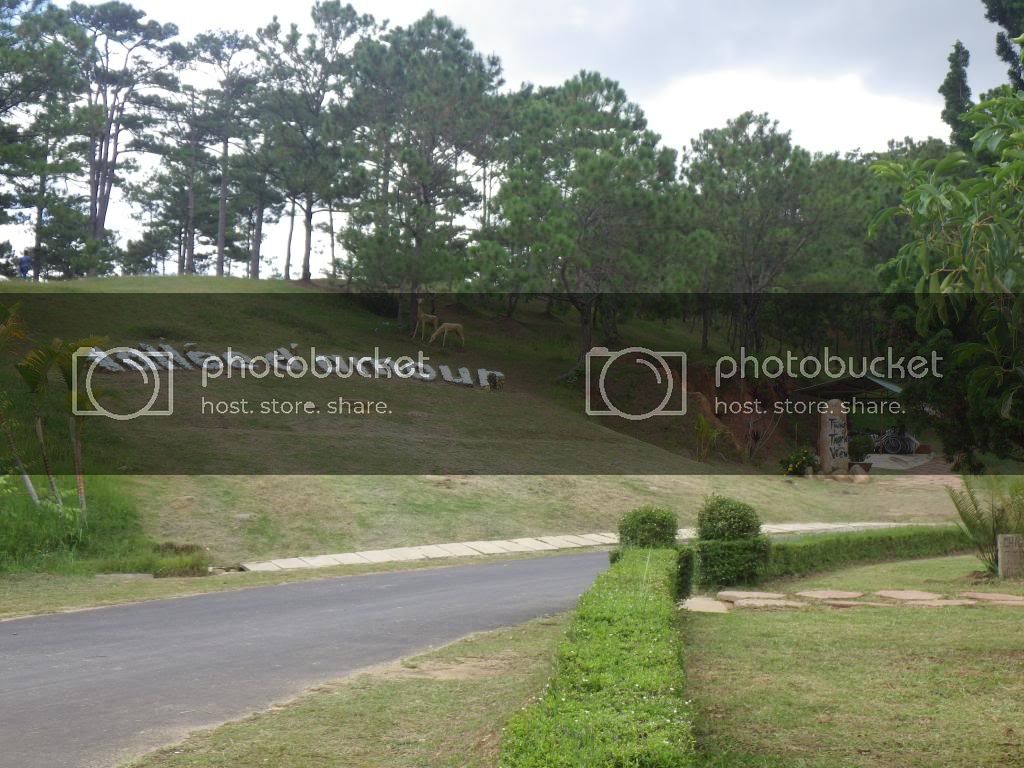 942_zpsf79246cd.jpg