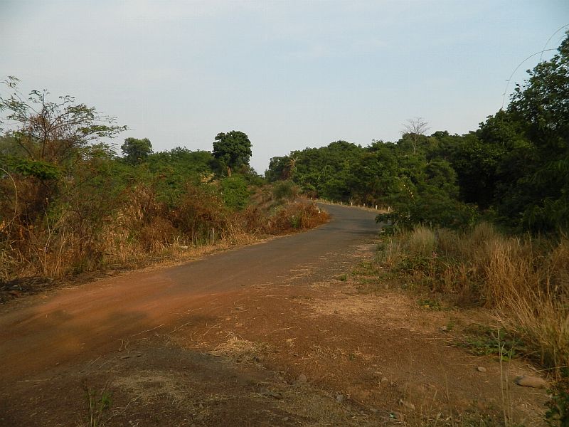 DSCN3621.jpg