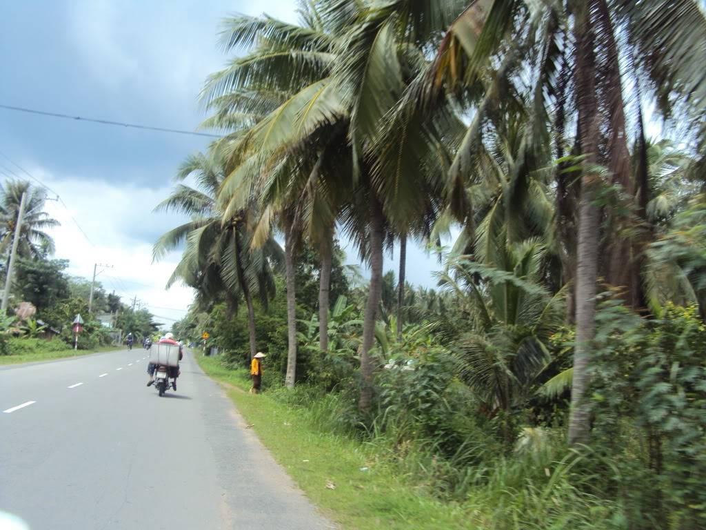 DSC05194.jpg