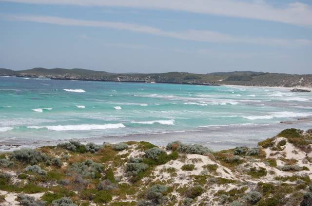 DSC_0849.jpg