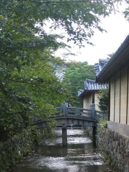 IMG_1310_resize.jpg