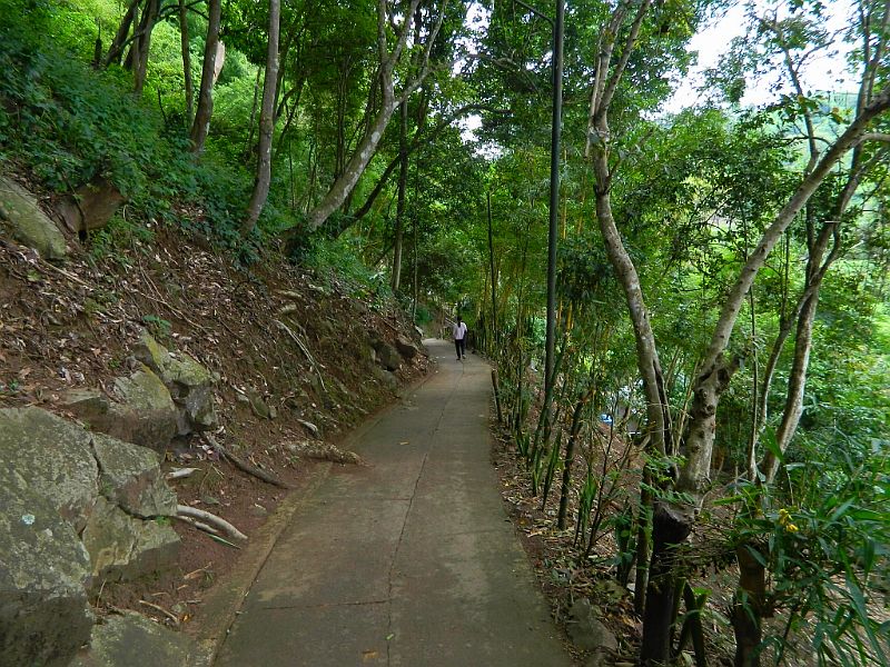 DSCN1862.jpg