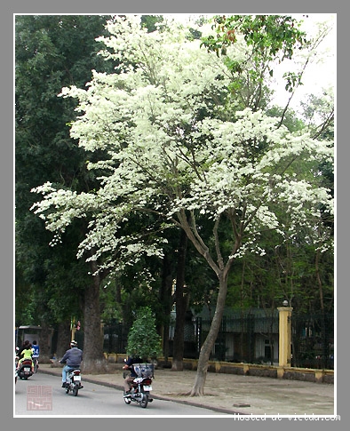 243469e6145c125c.jpg