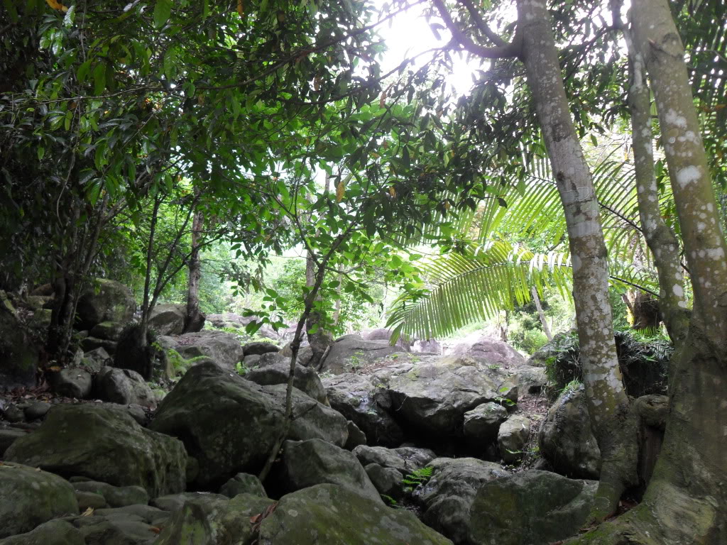SDC14205.jpg