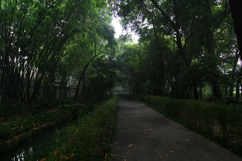 dophu3.jpg