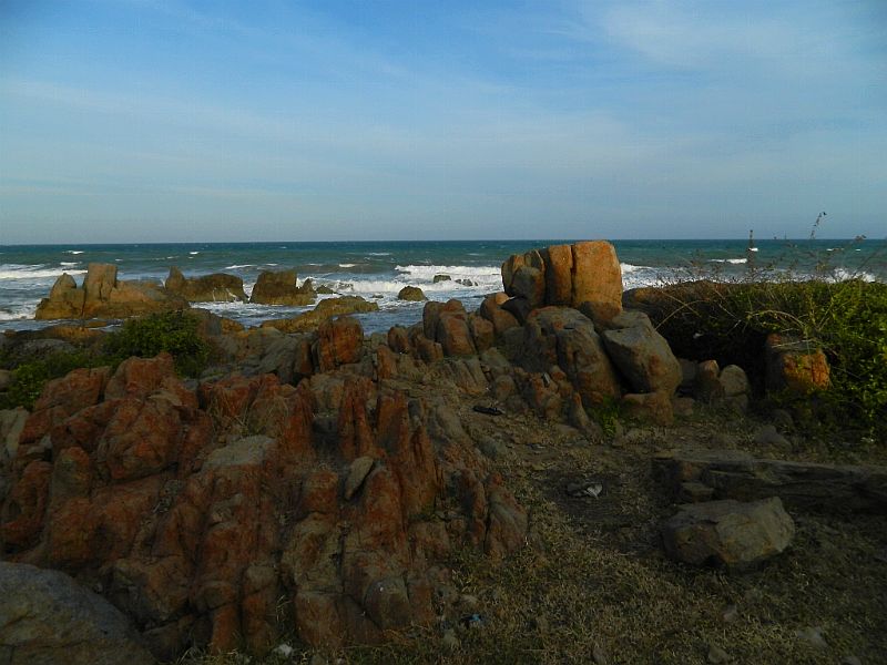 DSCN4509_337.jpg