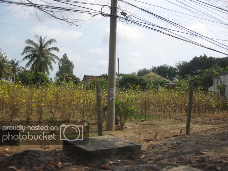 DongThapTET2011104.jpg