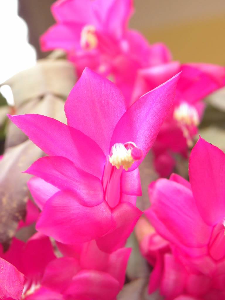 DSCN9413.jpg