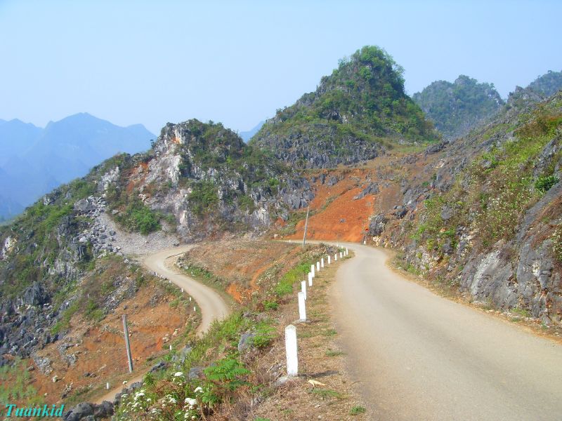 SDC16407.jpg