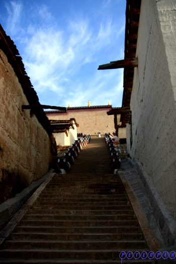 shangri-la107.jpg