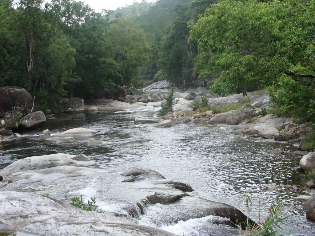 DSC00483.jpg