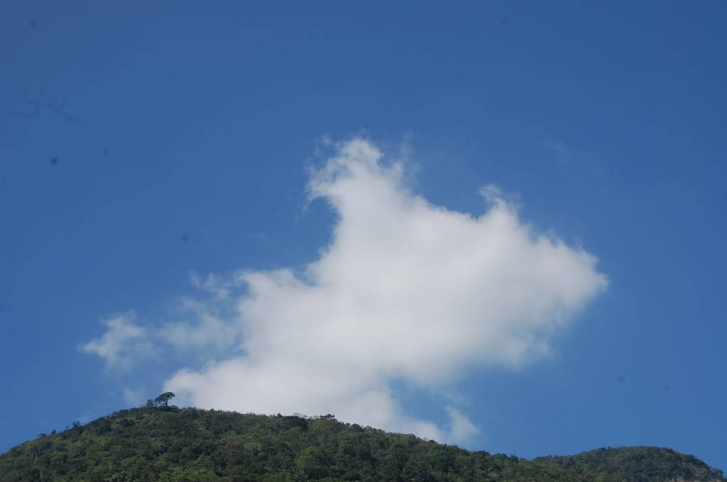 DSC_1103.jpg