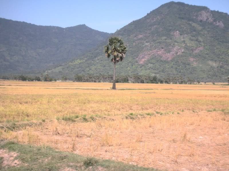 DSCN2289.jpg