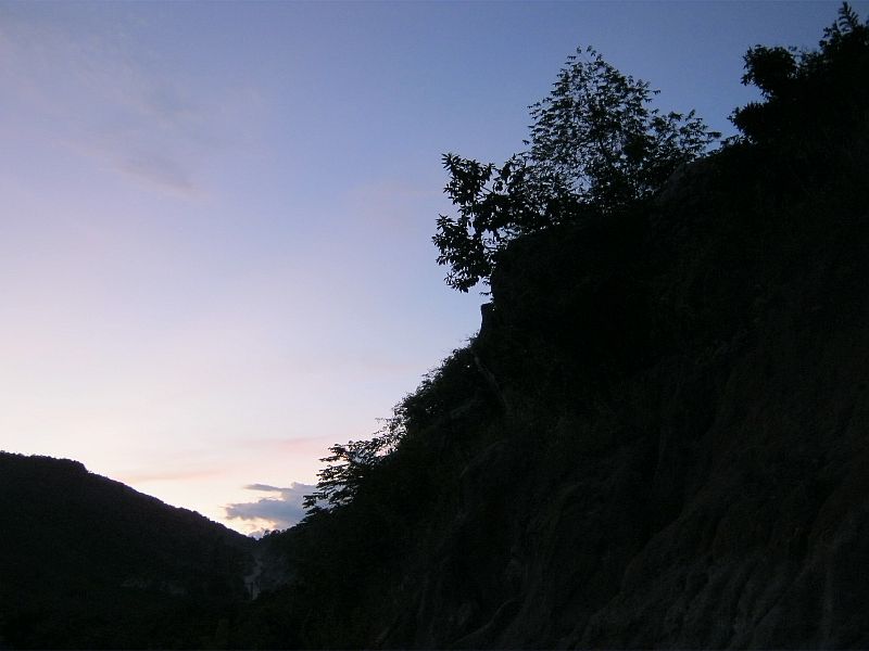 IMG_0550.jpg