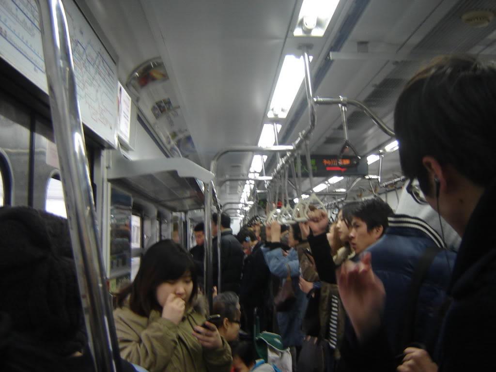 DSC08304.jpg