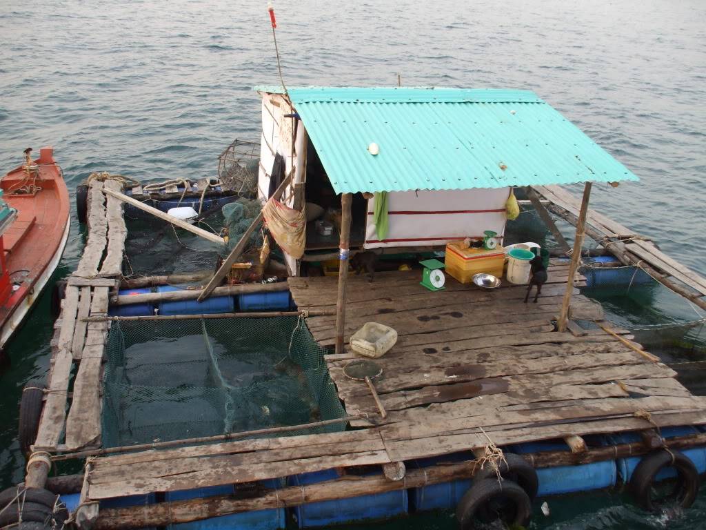 DSCF5153.jpg