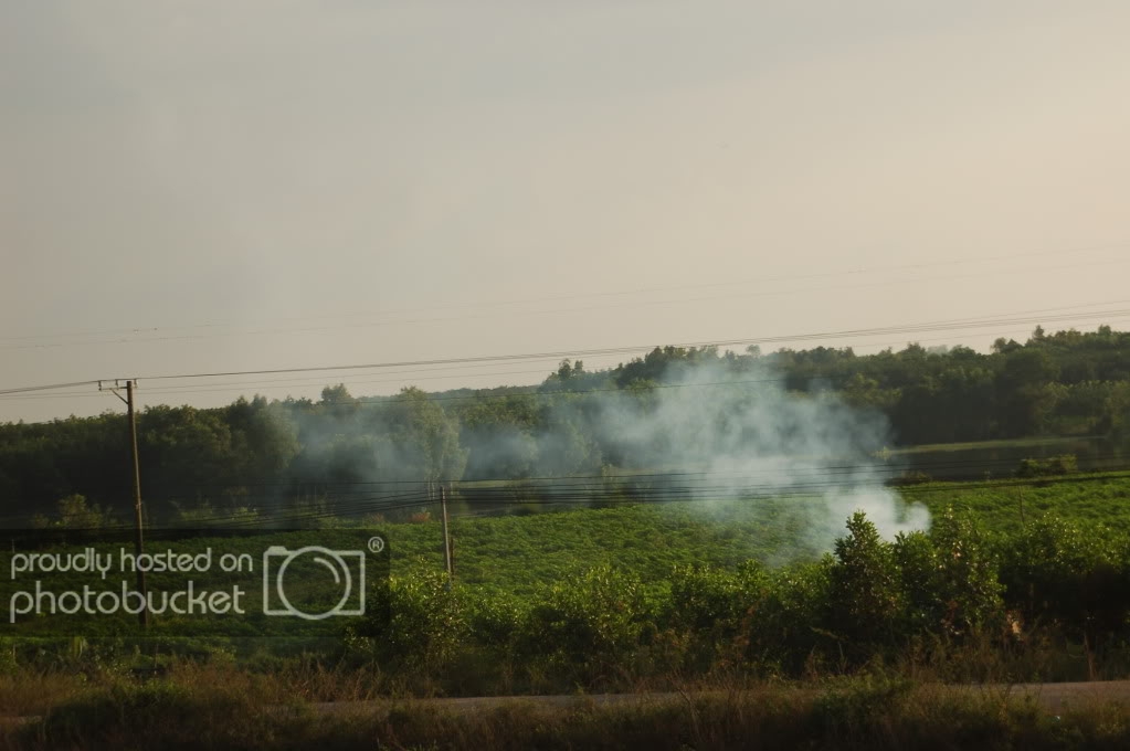 DSC_0511.jpg