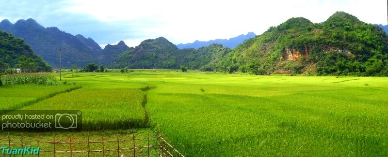 pano7.jpg