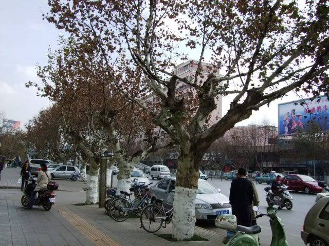 DSCF1667.jpg