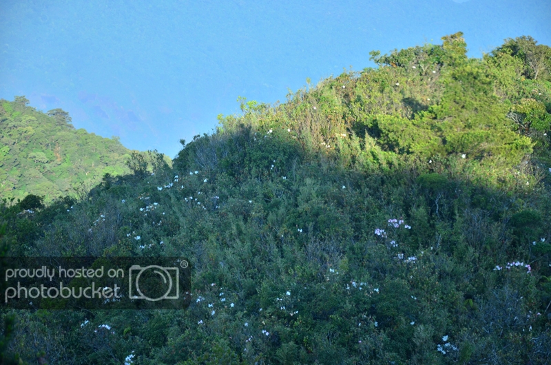 DSC_2550_zps9f3e349c.jpg