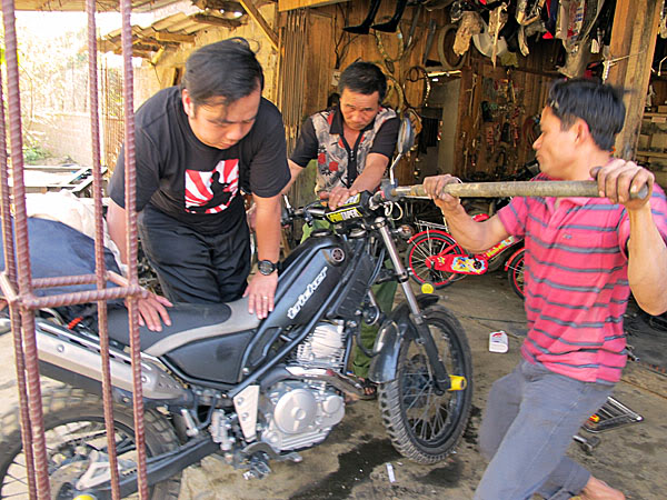 HongNgai2011016.jpg