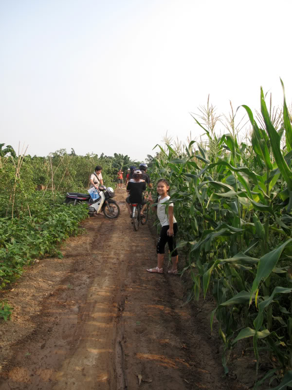 sh30.jpg