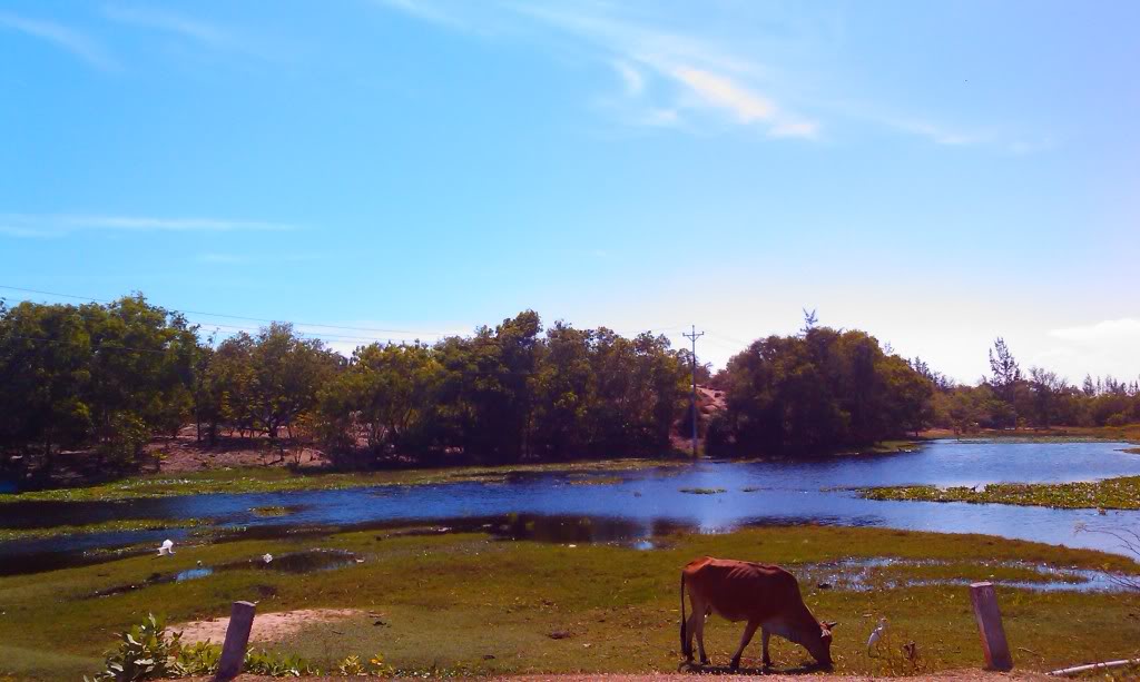 IMAG0665.jpg