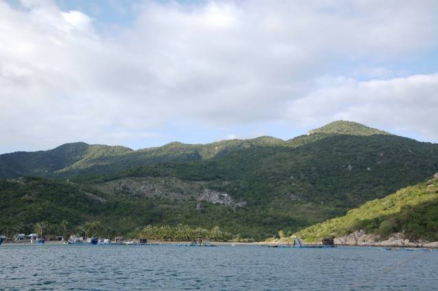 DSC_0379.jpg