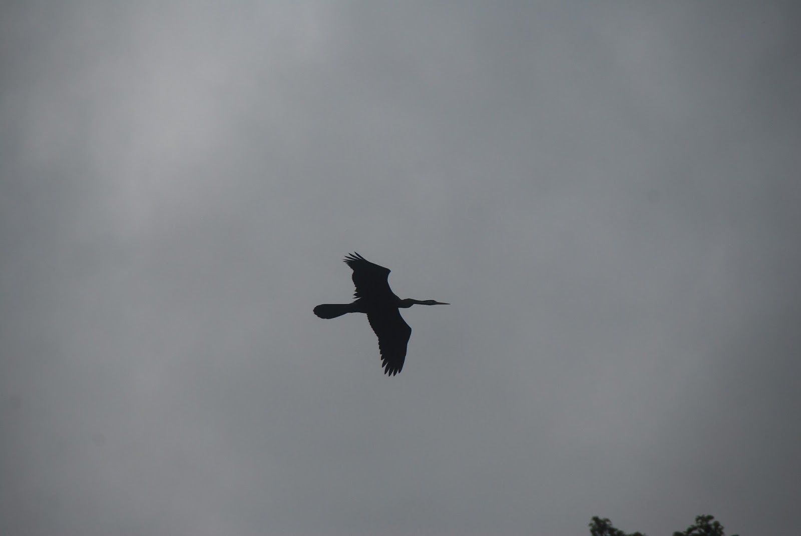 DSC_6999.JPG