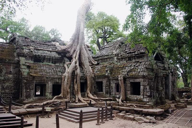 taprohm.jpg