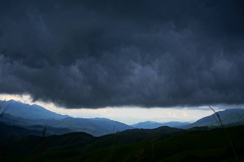 DSC05191.jpg
