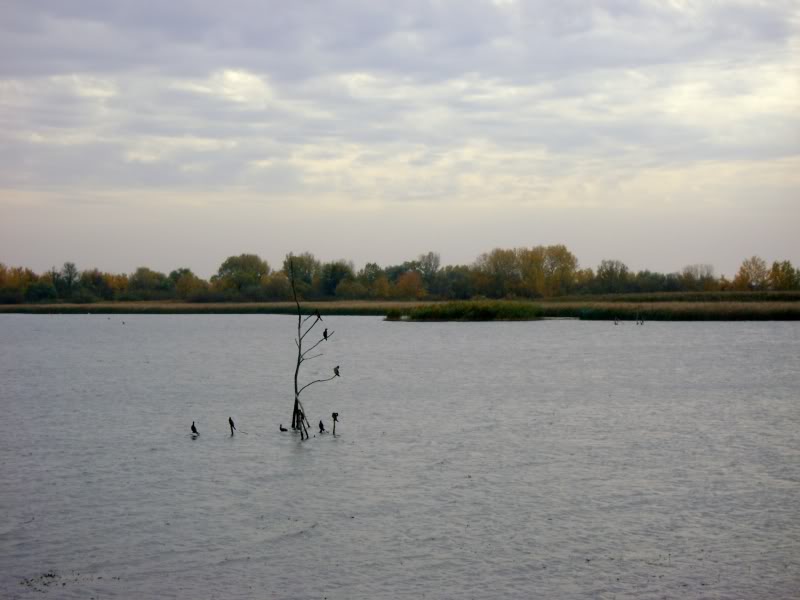 DSC06543.jpg