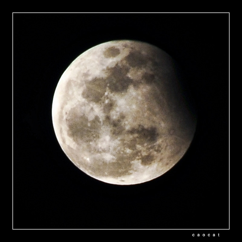7155082307_f03ca95969_c.jpg