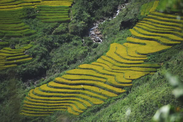 sDSC_6535.jpg