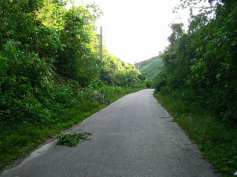IMG_6257.jpg