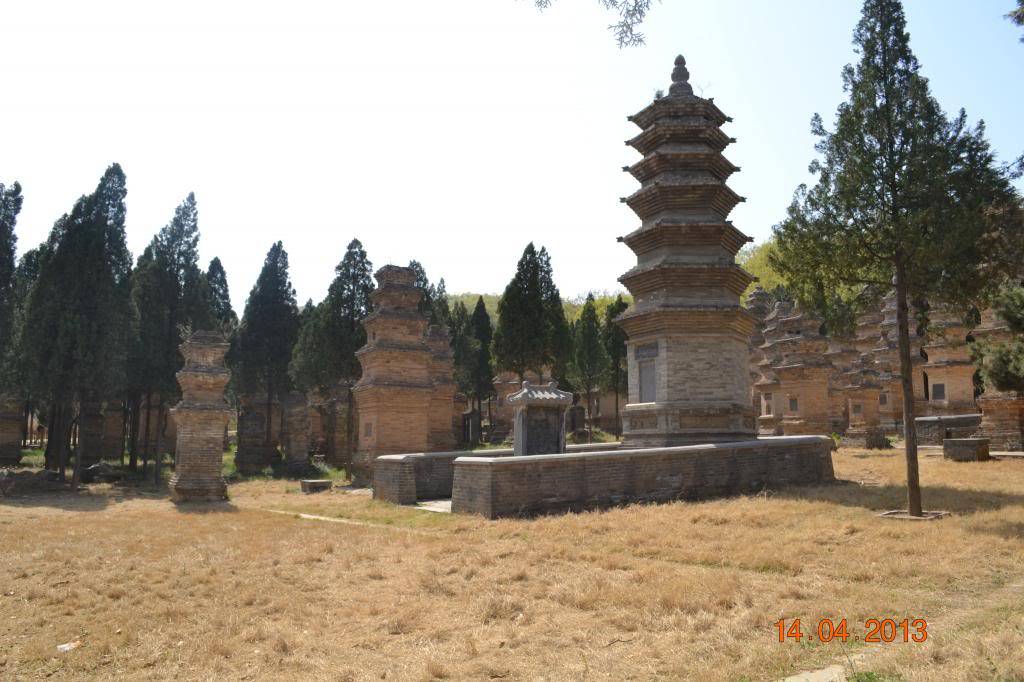 DSC_1157_zpsc4087e9b.jpg