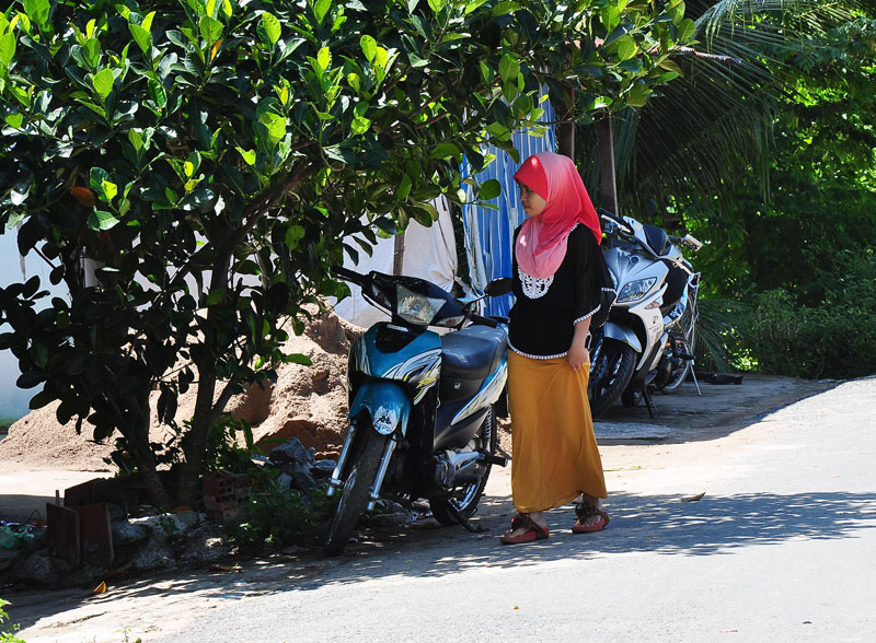 DSC_6503_zpsa63db947.jpg