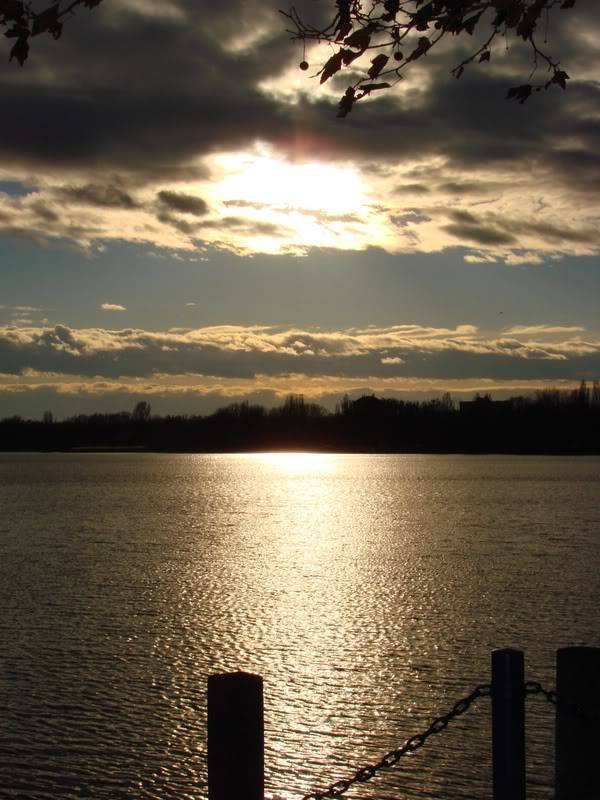 DSC01223e.jpg