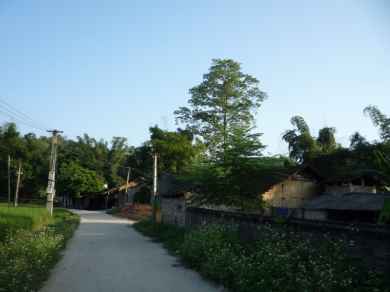 P1010757800x600.jpg