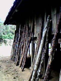 IMG0051A.jpg