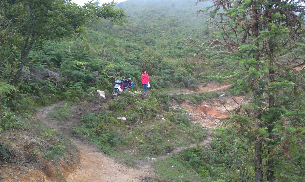 IMAG0217.jpg