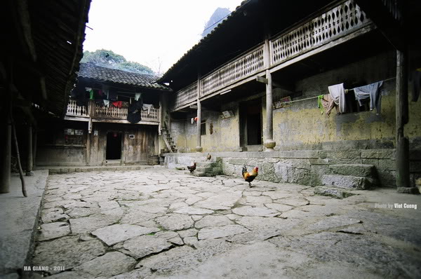 01910025a_resize.jpg