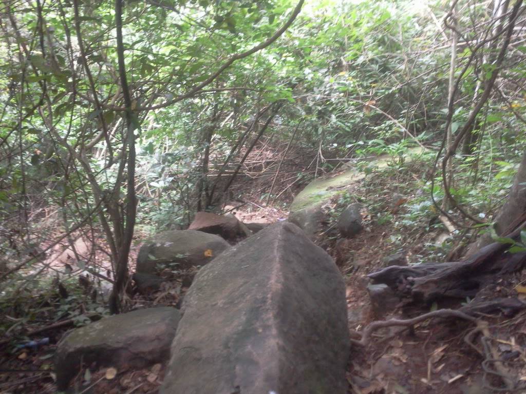 Photo0794.jpg