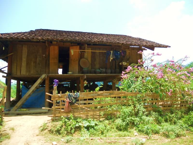 DSCN3493.jpg