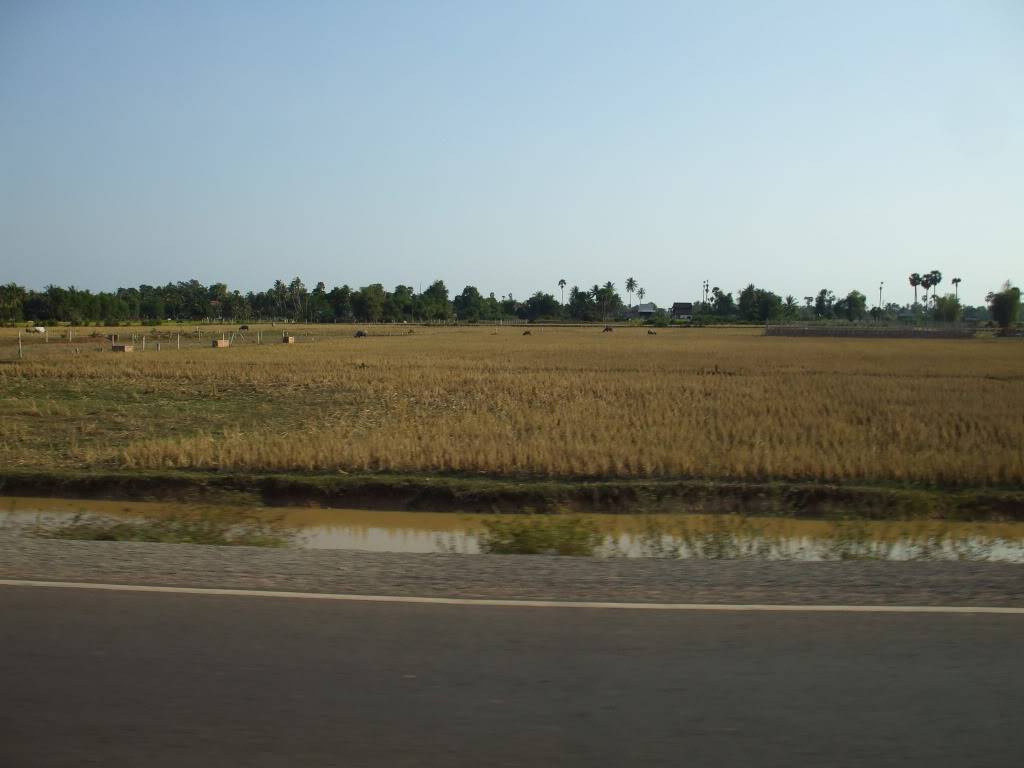 DSCF5545.jpg